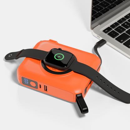 SmartCharge Pro